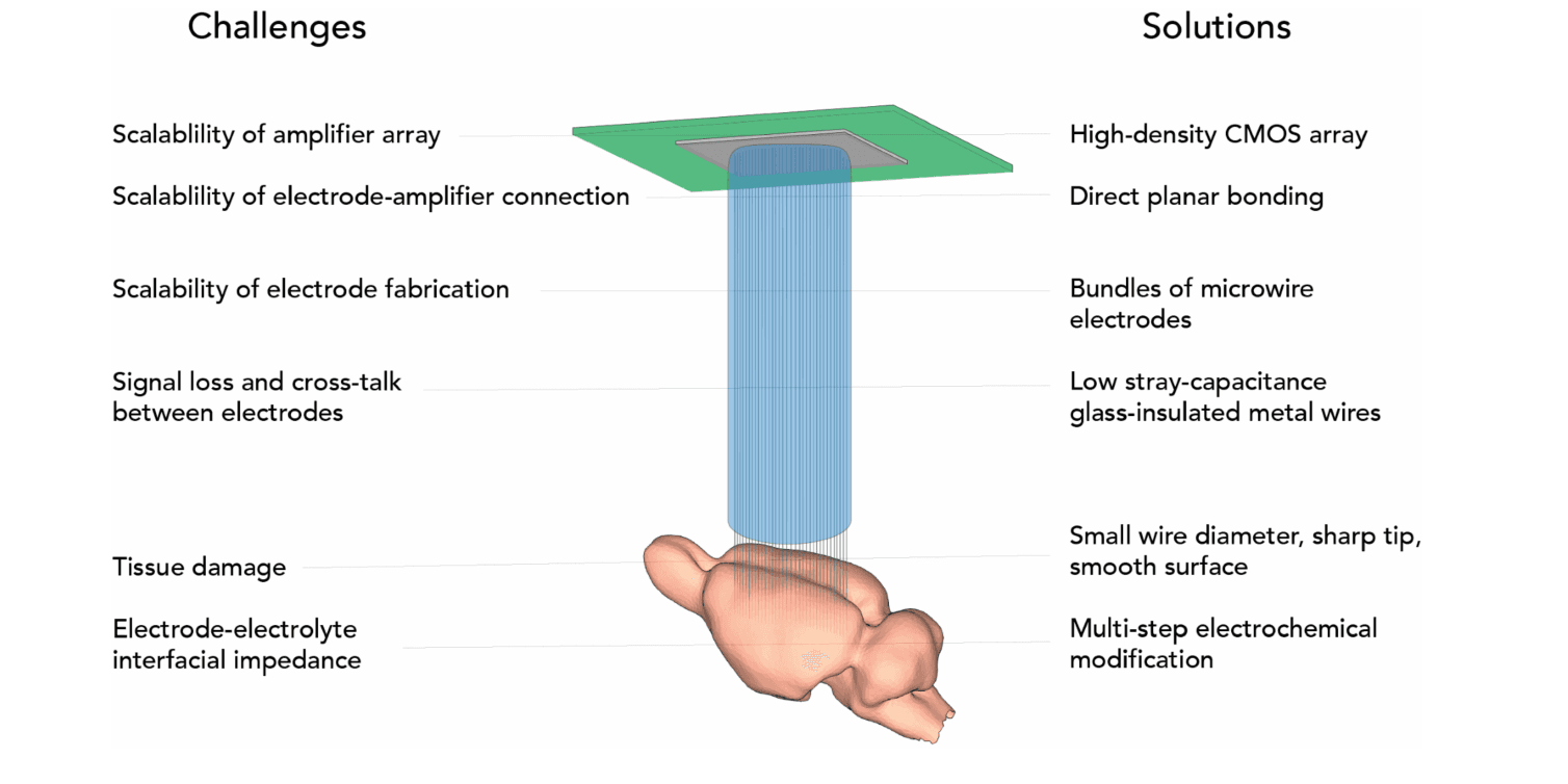Diagram of a microwire bundle running from a flat CMOS chip down into a mouse brain, with the scaling challenges listed on the left and the matching solutions on the right.