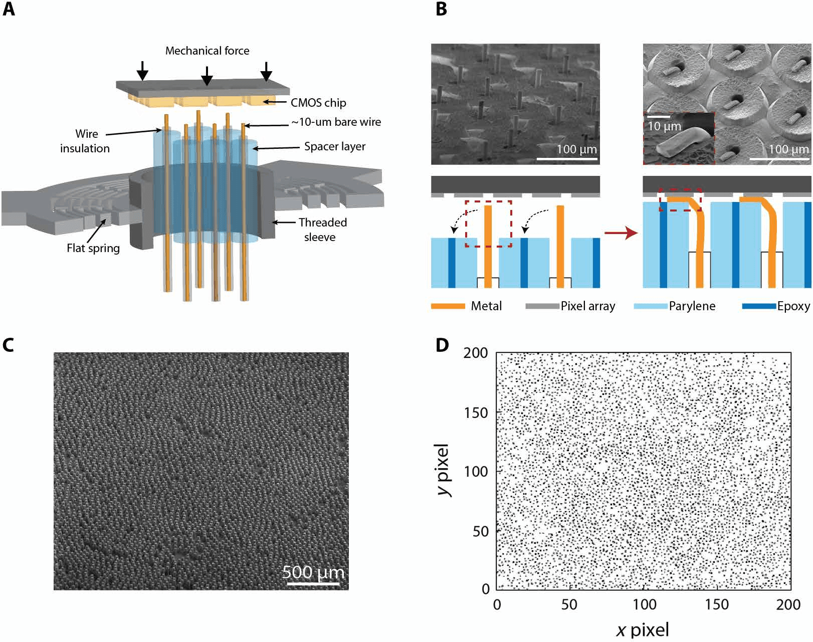 Composite figure. (A) Diagram of a flat spring pressing a wire bundle onto a CMOS chip. (B) Electron micrographs and diagrams of bare wire ends before and after being crimped onto pixels. (C) Electron micrograph of about 4,500 wire ends from the 8,640-wire bundle. (D) Map of camera-chip pixels in which black dots mark pixels connected to wires.