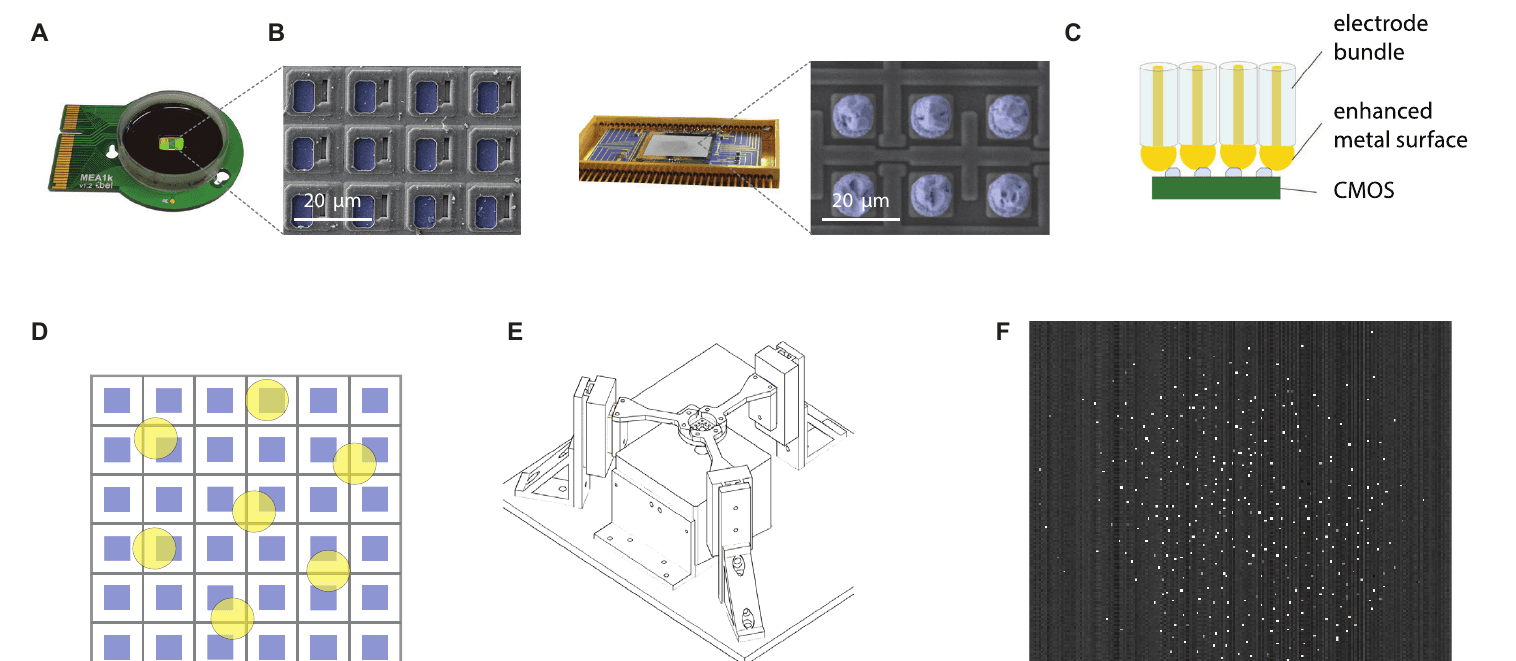 Composite figure. (A) An MEA chip with an electron micrograph of its pixel grid. (B) An infrared camera readout chip with an electron micrograph of its contact bumps. (C) Diagram of wires with gold bumps pressed onto chip pixels. (D) Diagram of round wire contacts landing randomly on a square pixel grid. (E) A three-arm press used for alignment. (F) An image of the camera chip with bright pixels marking 200 connected wires.