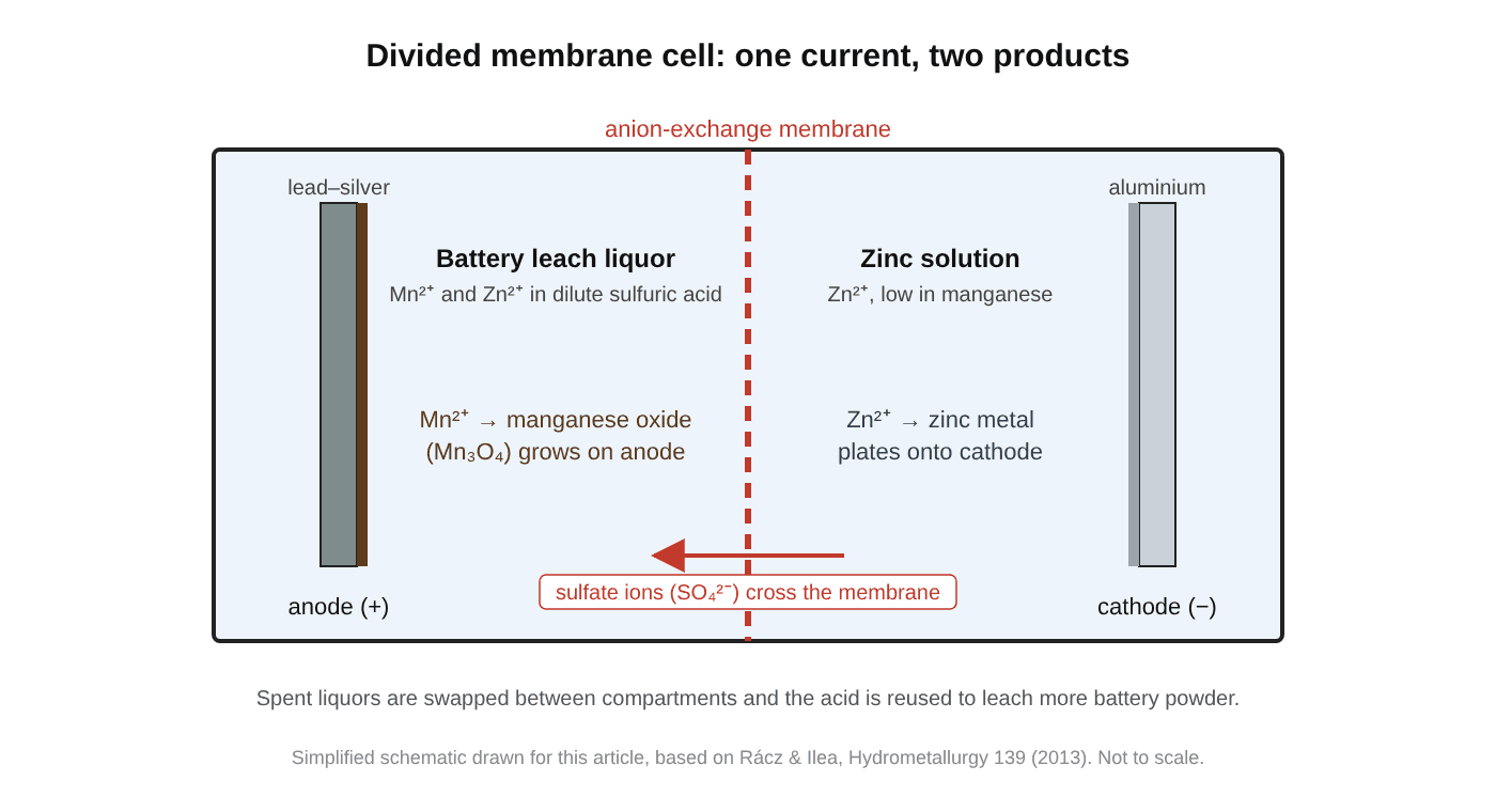 Schematic of a divided membrane cell: a lead–silver anode on the left in battery leach liquor where manganese oxide forms, an aluminium cathode on the right in zinc solution where zinc metal plates, and an anion-exchange membrane between them that sulfate ions cross.