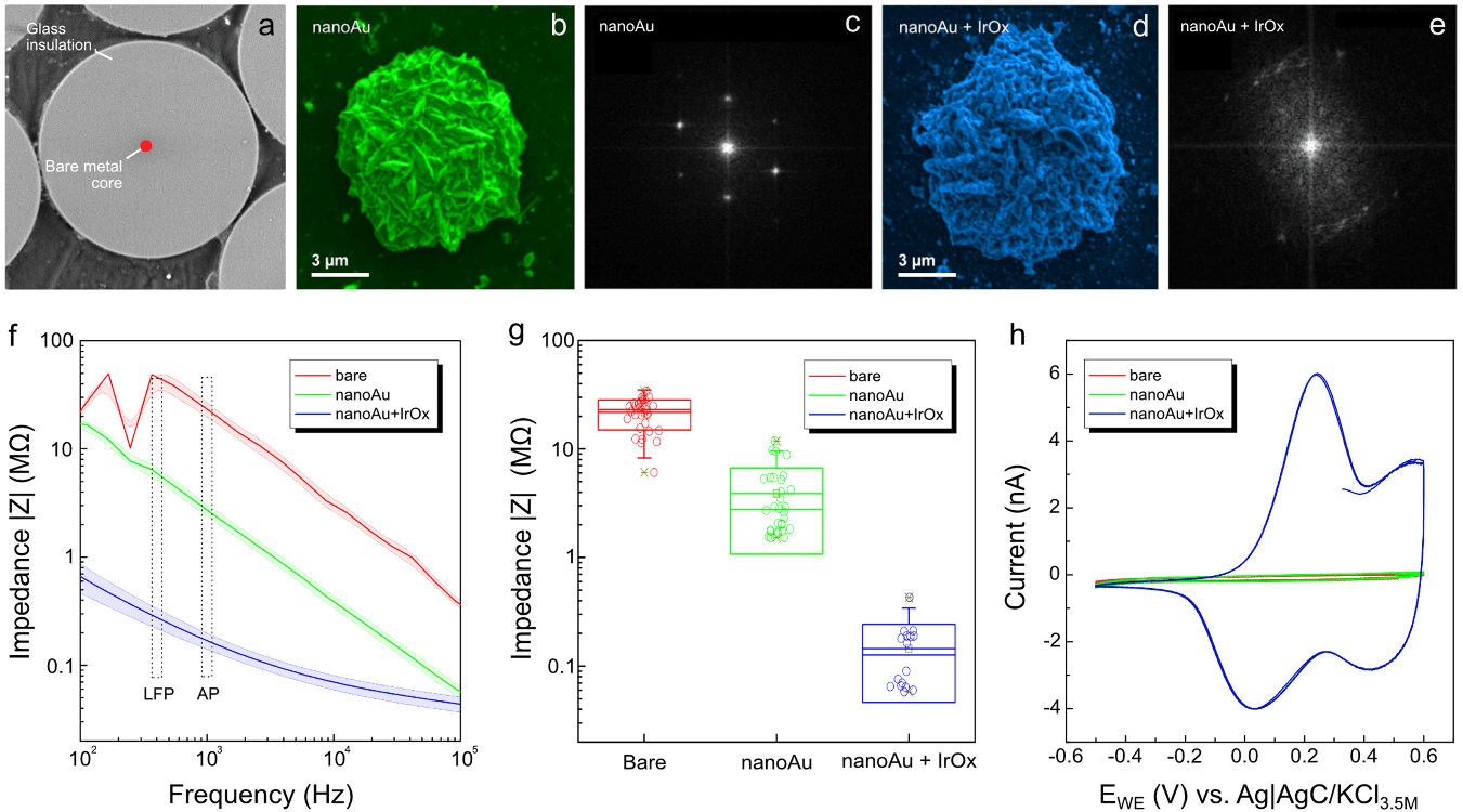 Composite figure. (a) Electron micrograph of a polished fibre end showing a bright metal core within glass. (b–e) False-coloured images and diffraction patterns of the gold nanostructure, and of the gold coated with iridium oxide. (f) Line graph of impedance versus frequency: the coated tips sit far below the bare tips across the range. (g) Box plot of impedance at 1 kHz for bare, gold and gold-plus-iridium-oxide tips. (h) Voltammetry curves showing a much larger response for the fully coated tip.