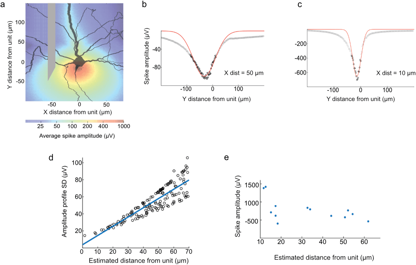 Composite figure. (a) Heat map of simulated spike amplitude around a modelled neuron. (b, c) Simulated spike amplitudes along the electrode path at two distances, with fitted curves. (d) Relationship between curve width and electrode distance. (e) Estimated distances and peak amplitudes from real recordings.