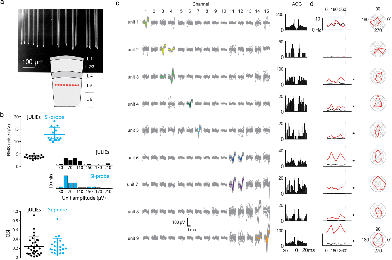 Composite figure. (a) Electron micrograph of a row of fibres and a diagram of cortical layers with sites in layer 5. (b) Scatter plots showing lower noise for jULIEs than the silicon probe, and similar spike amplitude and orientation selectivity distributions. (c) Spike waveforms of nine separated neurons across channels, with autocorrelograms. (d) Responses to moving stripes and polar tuning plots.